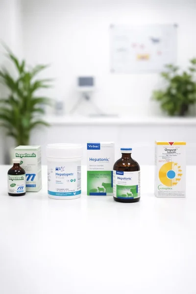 Protectores Hepaticos