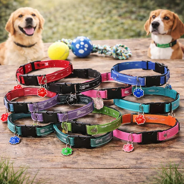 COLLAR