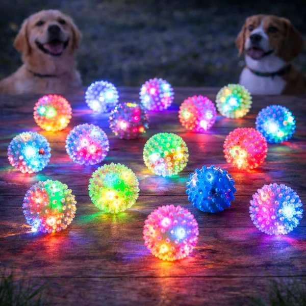 PELOTA LUMINOSA