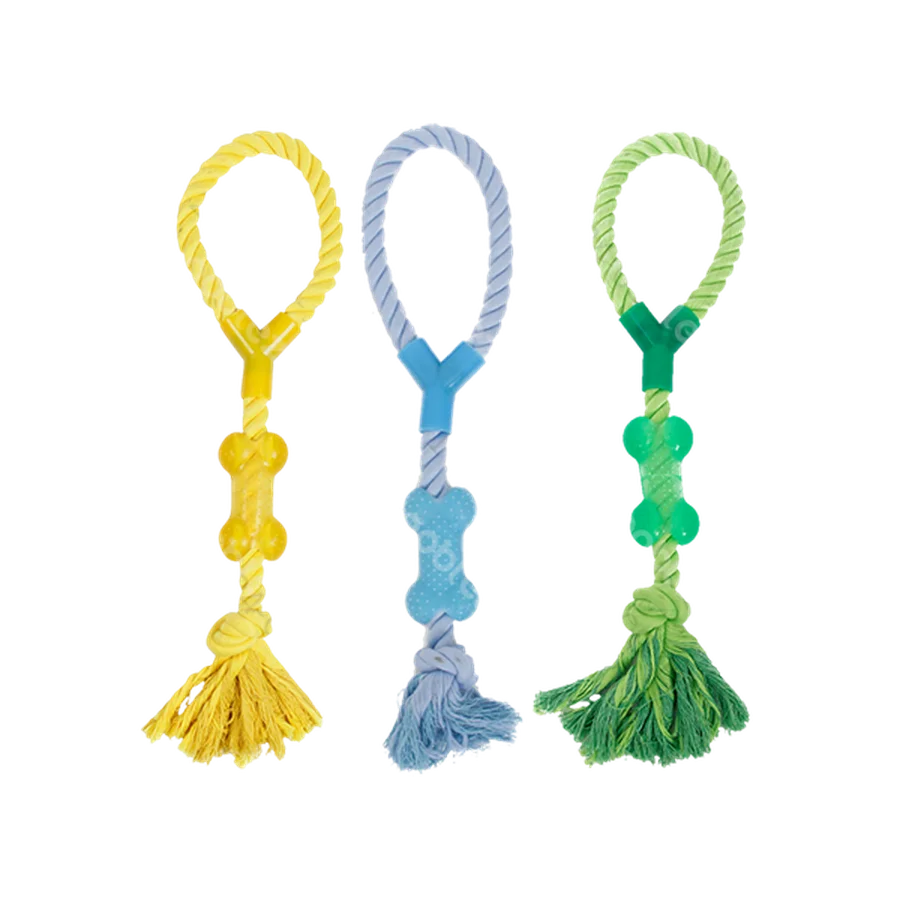 Hueso de cuerda de un