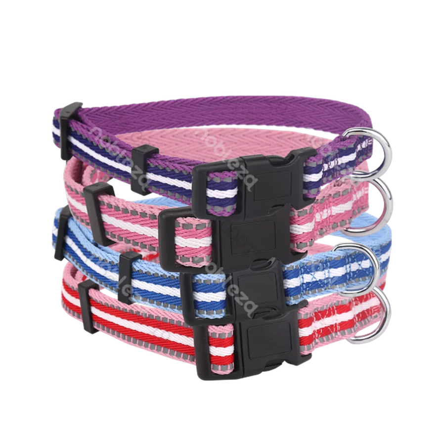 Collar reflectante pa