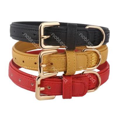 Collar para perro de