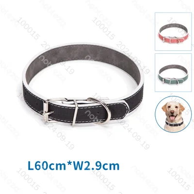 Collar de cuero duro