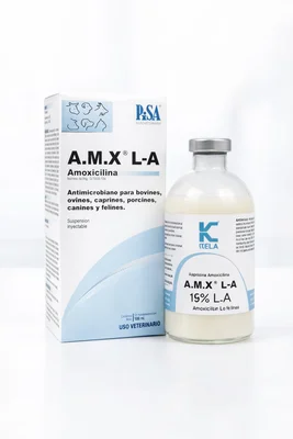 AMX LA