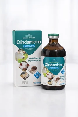 Clindamicina