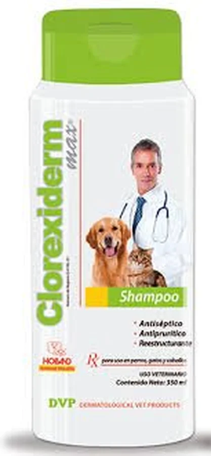 Clorexidern max champ