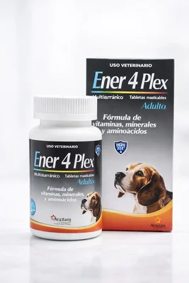 Enerplex 4 adulto