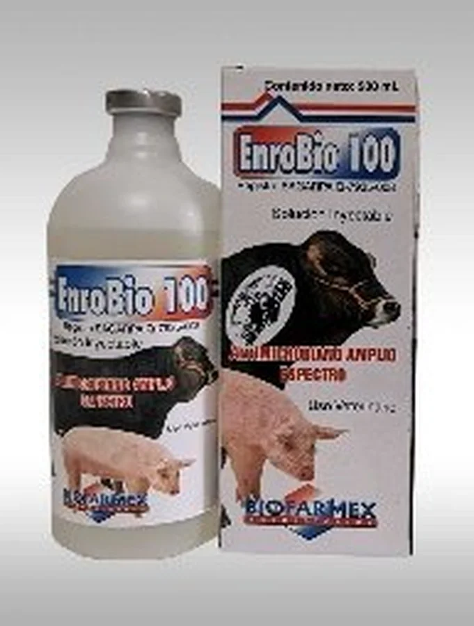 Enrobio