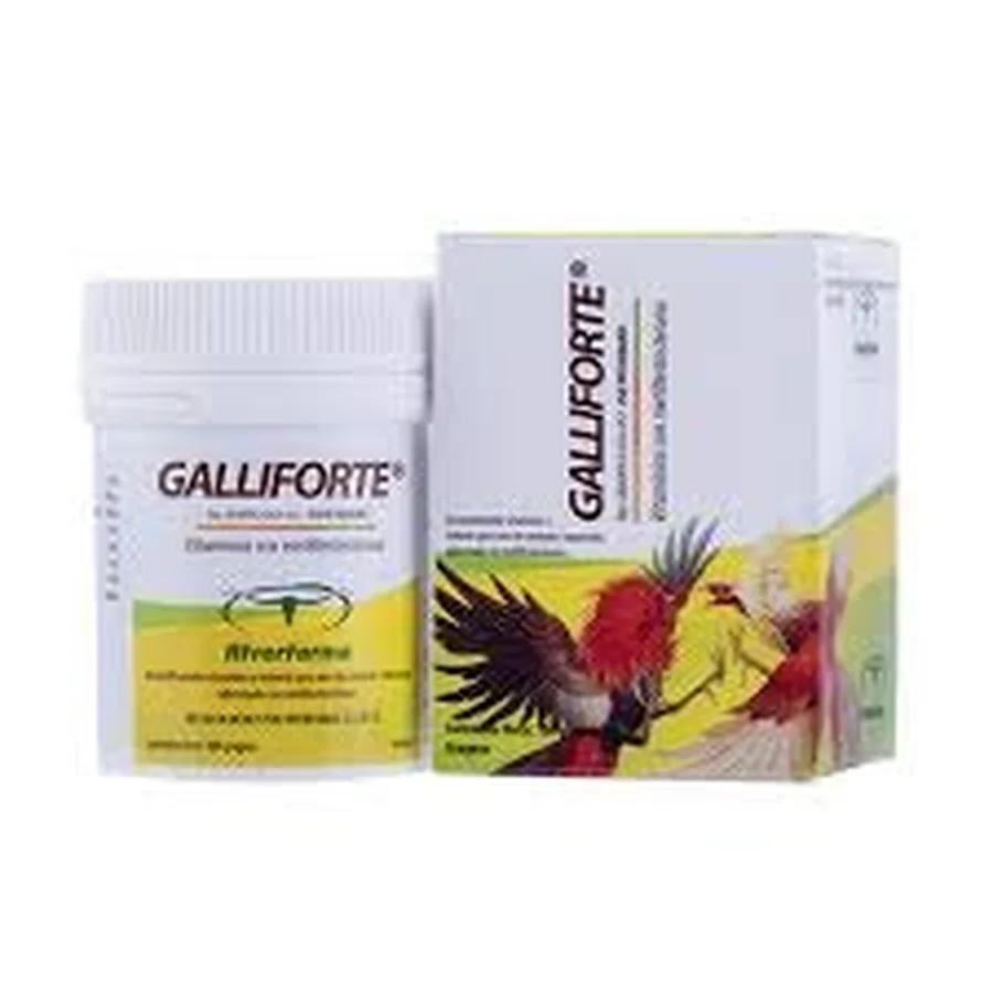 Galliforte