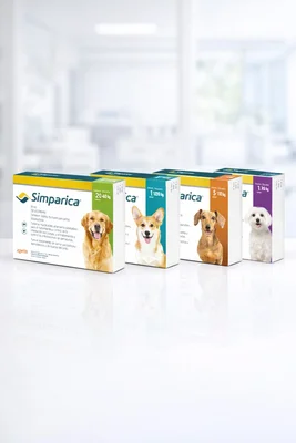 Simpárica 20-40 kg 80