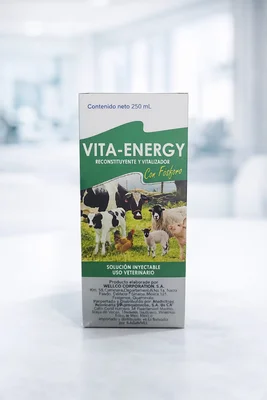 Vita Energy