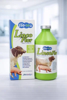 Lincoflor