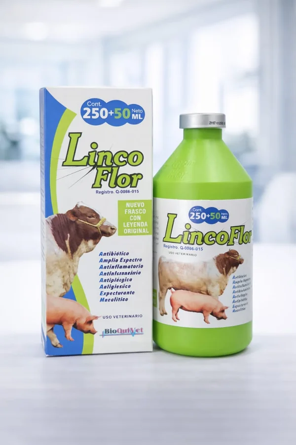 Lincoflor